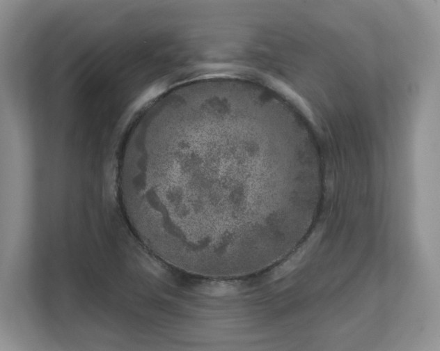 X0000111621411200907241020