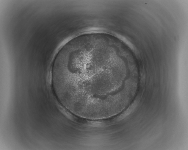 X0000111621413200907241021