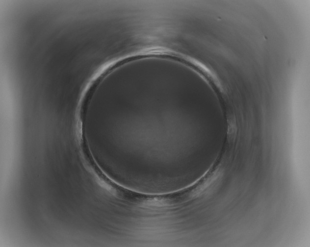 X0000111621414200907241021
