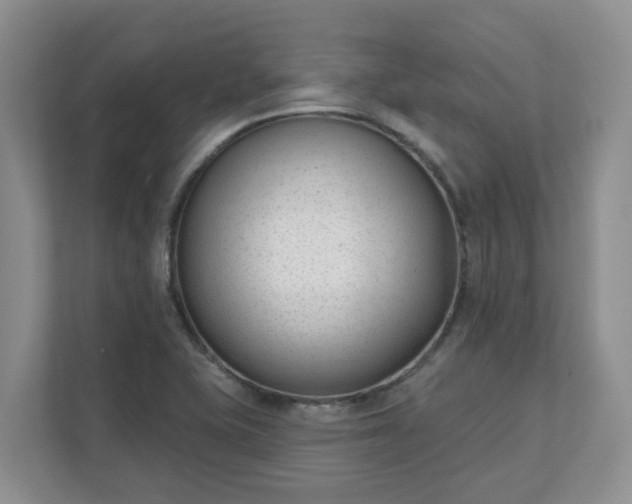 X0000111621415200907241021