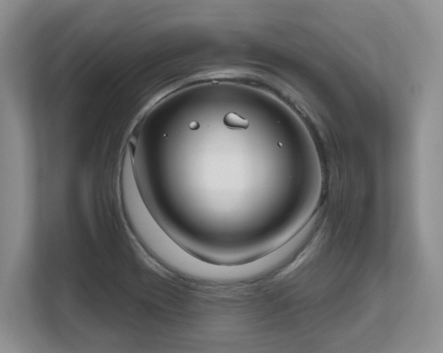 X0000111621417200907241021