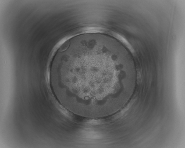 X0000111621419200907241021