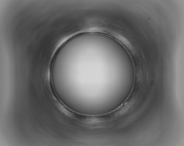 X0000111621420200907241021