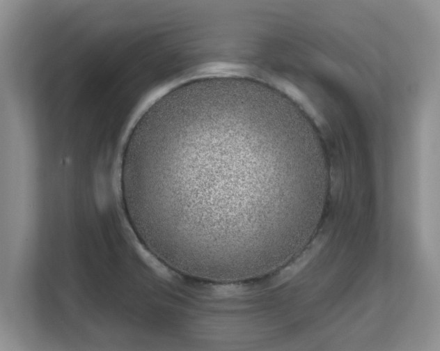 X0000111621421200907241021