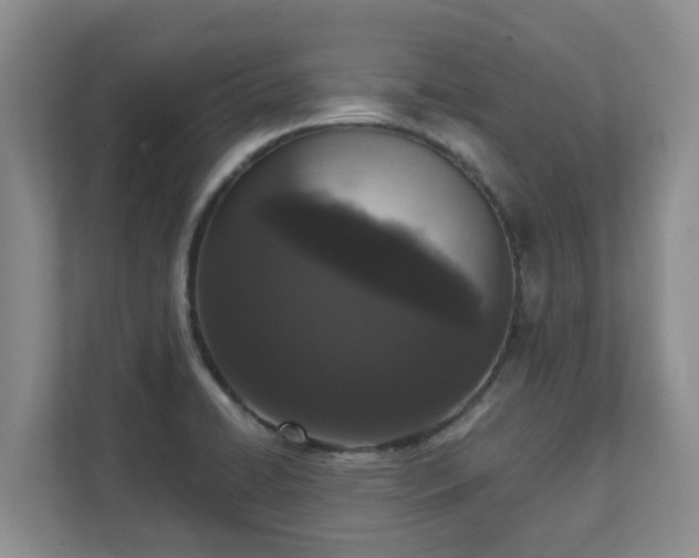 X0000111621422200907241021