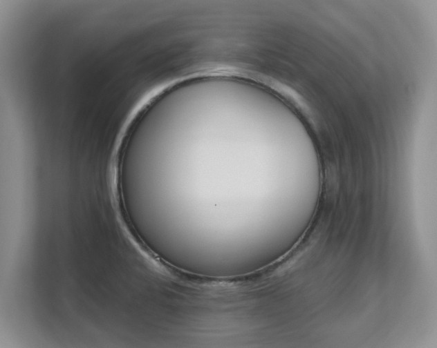 X0000111621424200907241021