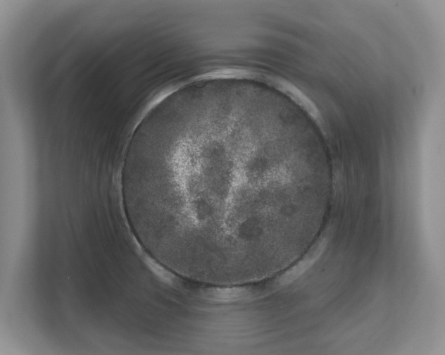 X0000111621425200907241021