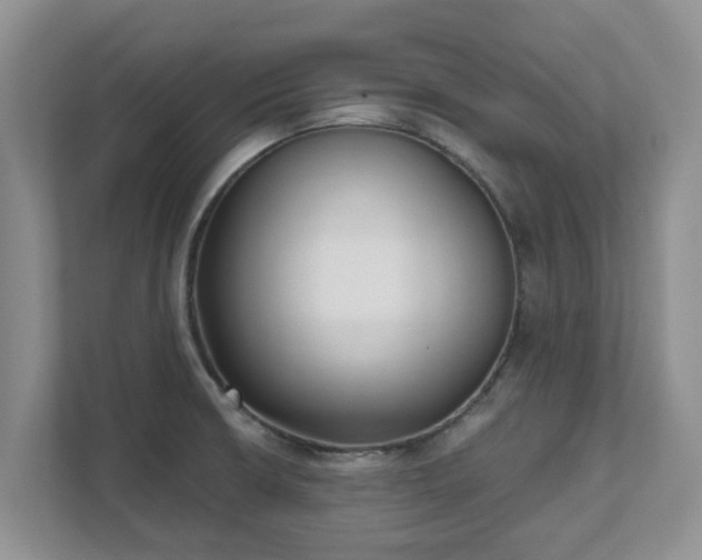 X0000111621426200907241021