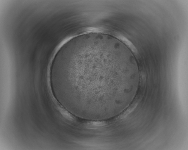 X0000111621427200907241021