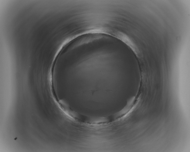 X0000111621428200907241021