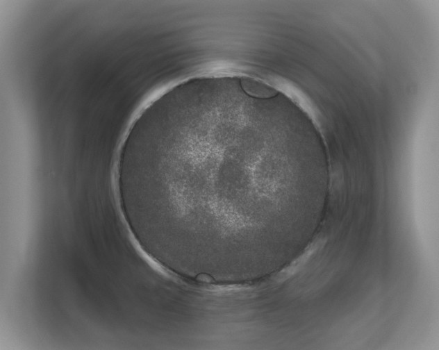 X0000111621429200907241021