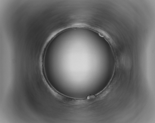 X0000111621430200907241021