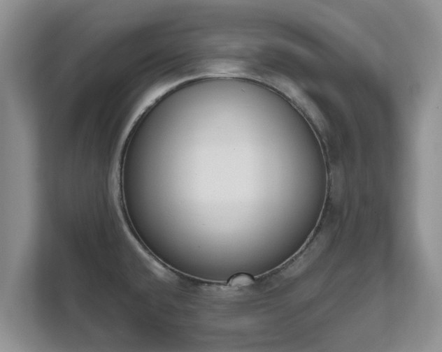 X0000111621432200907241021