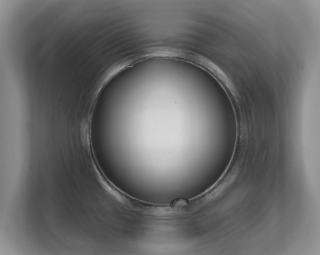 X0000111621433200907241021