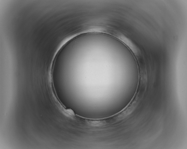 X0000111621436200907241021