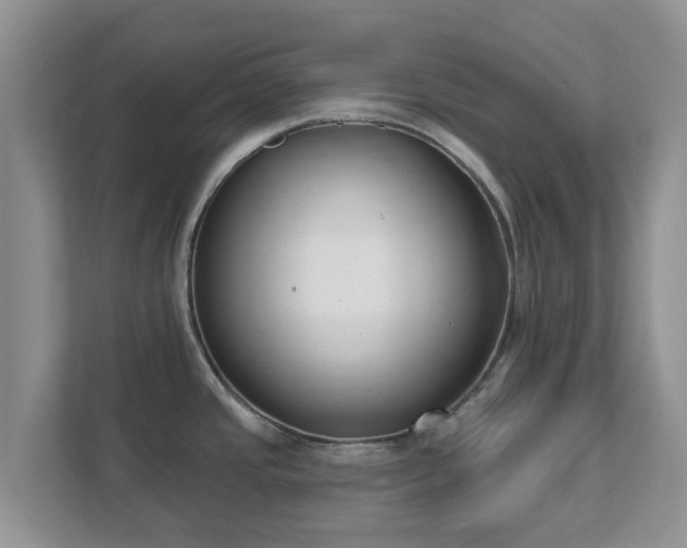 X0000111621437200907241021