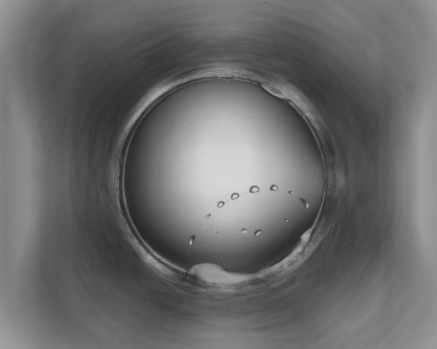 X0000111621438200907241021