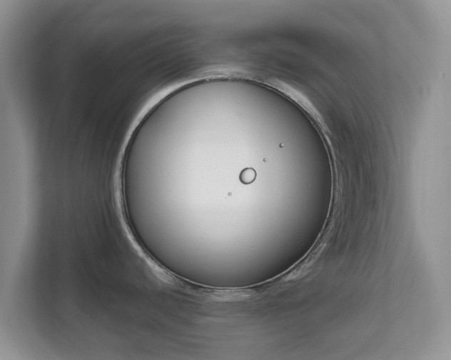 X0000111621440200907241021
