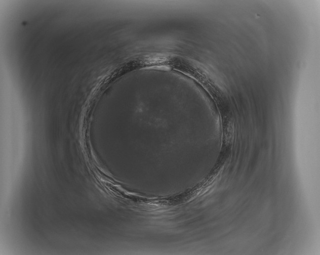 X0000111621441200907241020