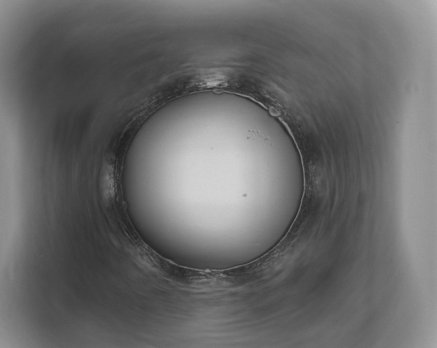 X0000111621442200907241020