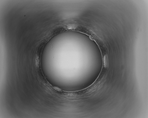 X0000111621443200907241020