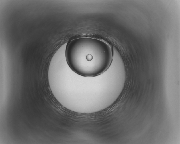 X0000111621444200907241020