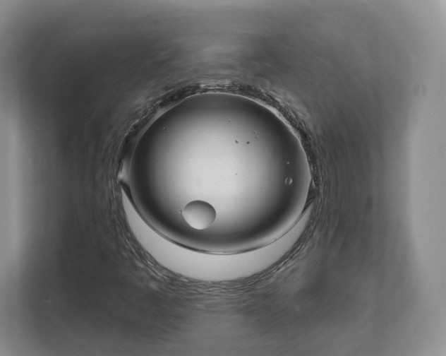 X0000111621445200907241020