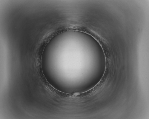 X0000111621447200907241020