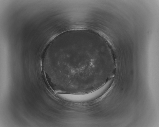 X0000111621449200907241020