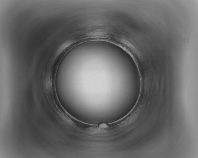 X0000111621450200907241020