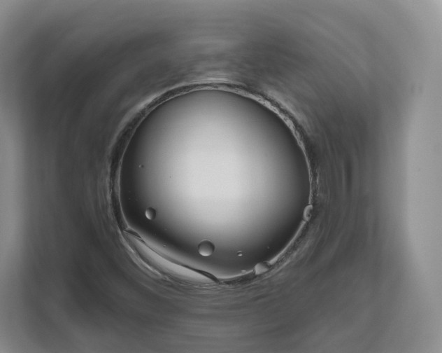 X0000111621452200907241020