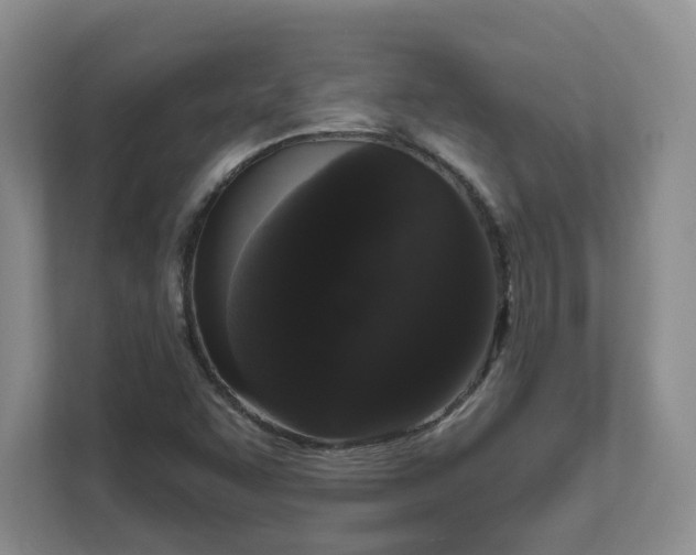 X0000111621455200907241020