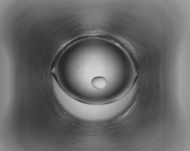 X0000111621457200907241020