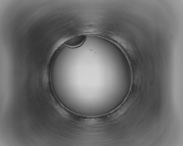 X0000111621458200907241020