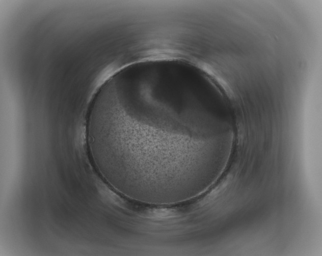X0000111621459200907241020