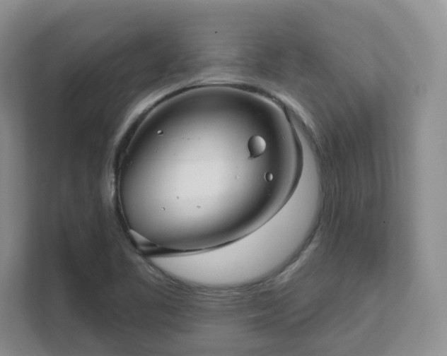 X0000111621461200907241020
