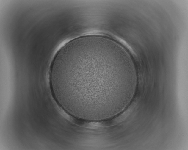 X0000111621463200907241020