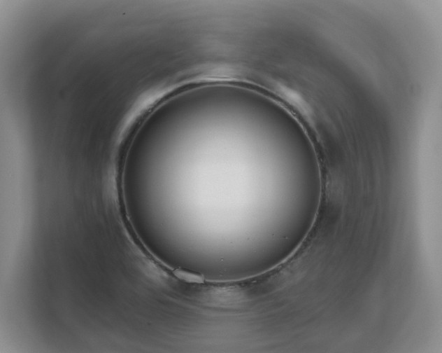 X0000111621464200907241020