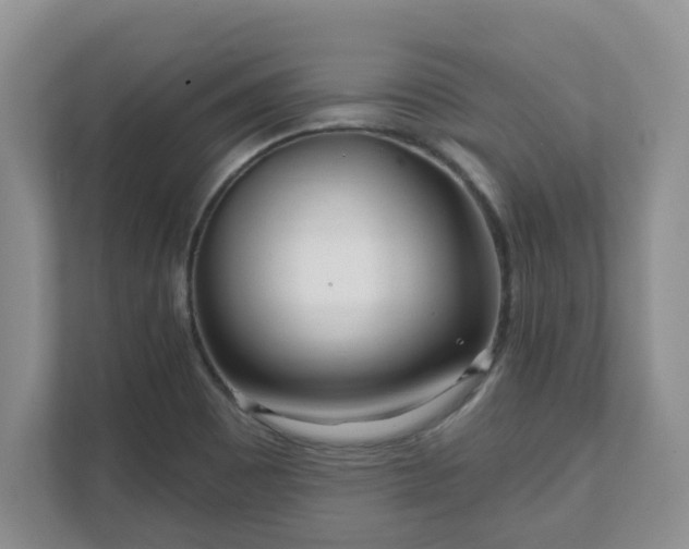 X0000111621465200907241020