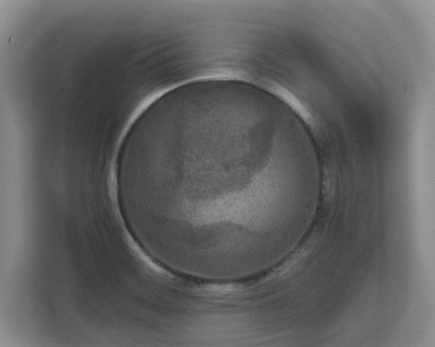X0000111621468200907241020