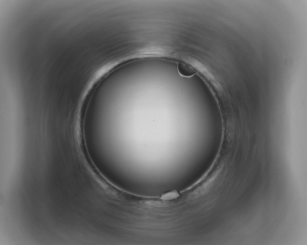 X0000111621469200907241020