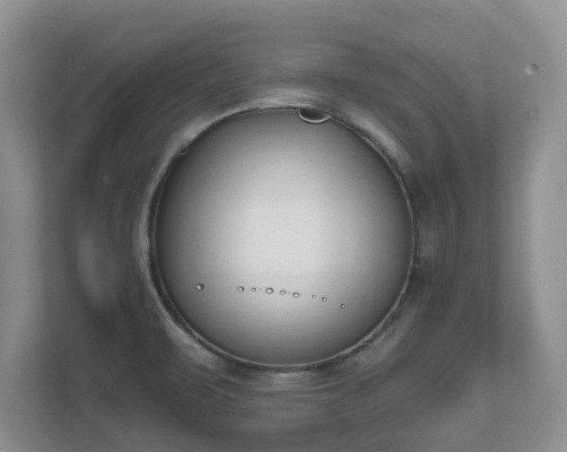 X0000111621471200907241020
