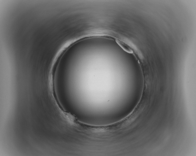 X0000111621472200907241020