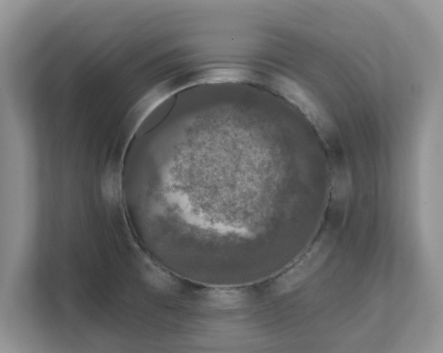 X0000111621473200907241020