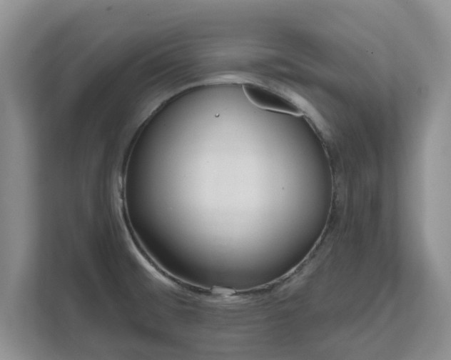 X0000111621476200907241020