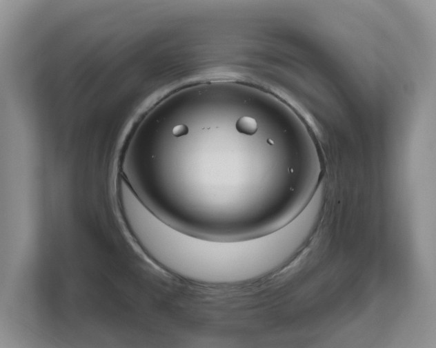 X0000111621477200907241020