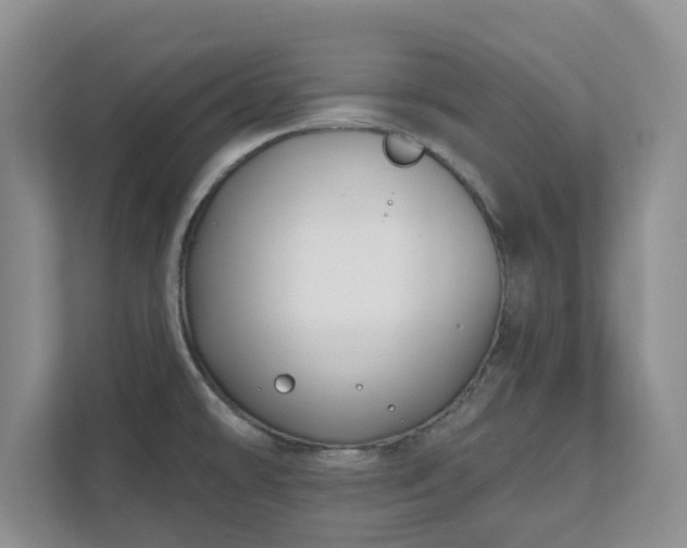 X0000111621478200907241020