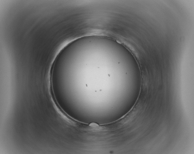 X0000111621479200907241020