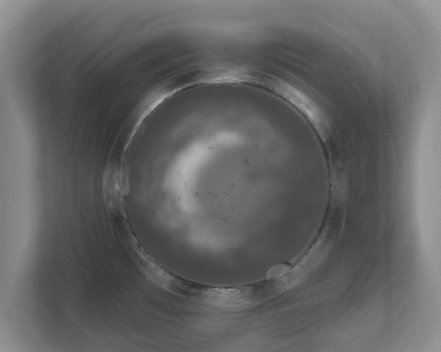X0000111621481200907241020