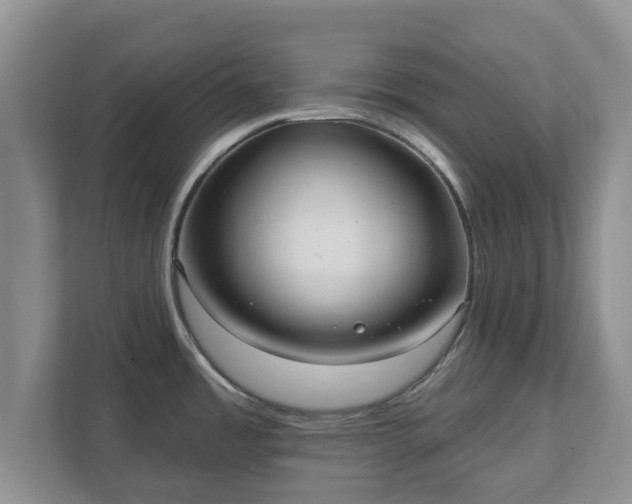 X0000111621485200907241020